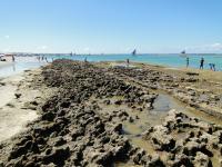 Vista do geossítio Recife de Arenito e Corais de Porto de Galinhas no sentido S-N, com a exposição do arenito de praia. Foto: Rogério Valença Ferreira.