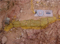 A imagem mostra o lenho de gimnosperma fóssil o que qualifica o geossítio como o principal afloramento fossilífero da região da Quarta Colônia.(Autor: Michel Godoy/2009).