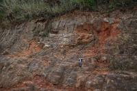 O corte de estrada mostra o belo exemplar de tronco fóssil de conífera, que ocorre na unidade geológica Caturrita de idade triássica superior), são rochas sedimentares formada por arenitos, conglomerados, siltito areno-argiloso e folhelhos subordinados. (Autor:Michel Godoy/2008) 