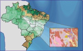 Projeto Riozinho
